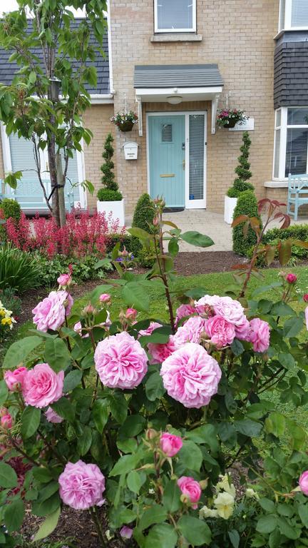 No.5 Bed & Breakfast Kilcullen Esterno foto
