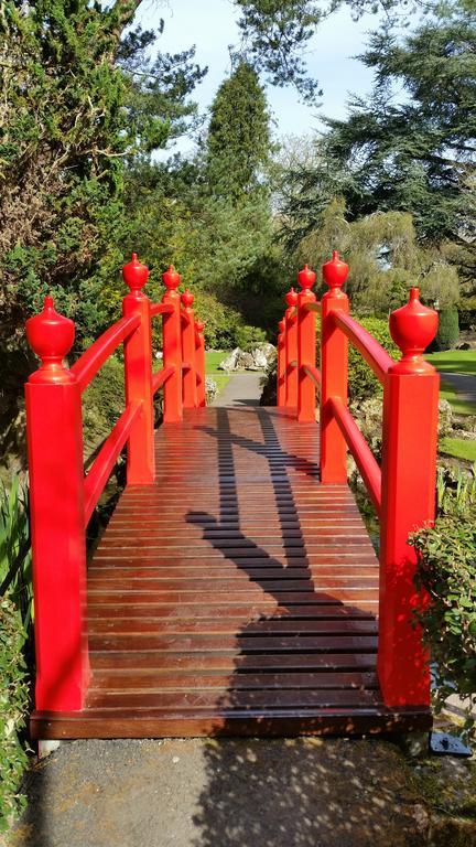 No.5 Bed & Breakfast Kilcullen Esterno foto
