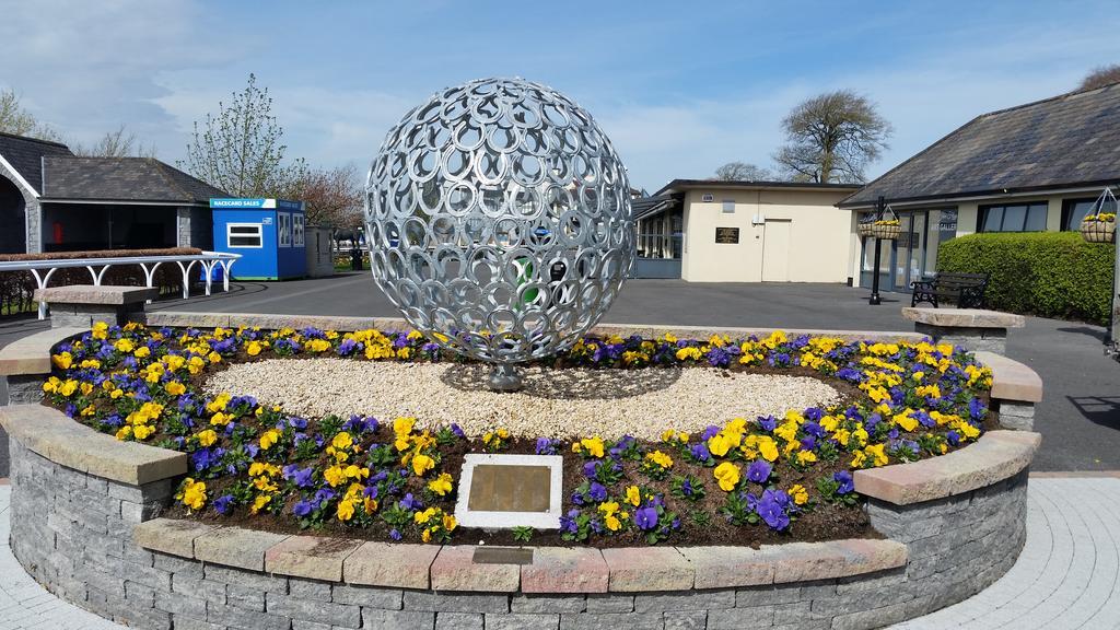 No.5 Bed & Breakfast Kilcullen Esterno foto